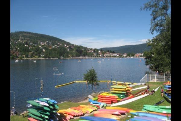 Chalet Individuel - Panoramique Montagnes & Proche Lac La Bresse Dış mekan fotoğraf
