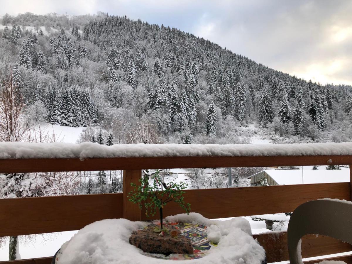 Chalet Individuel - Panoramique Montagnes & Proche Lac La Bresse Dış mekan fotoğraf