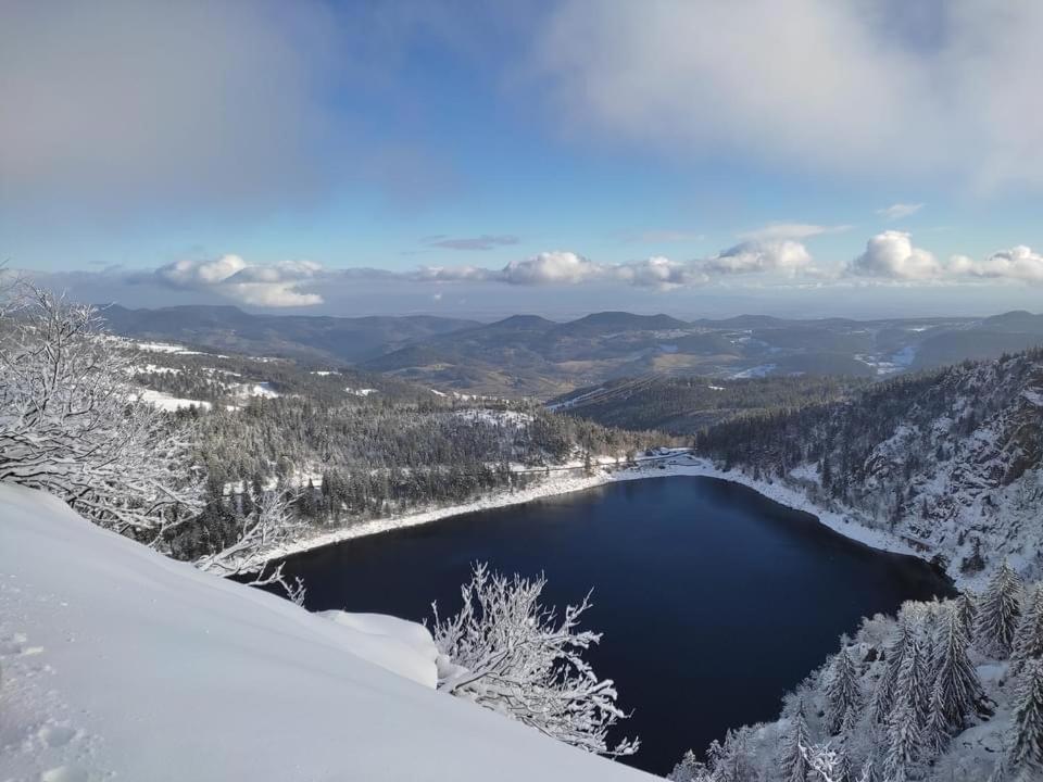 Chalet Individuel - Panoramique Montagnes & Proche Lac La Bresse Dış mekan fotoğraf